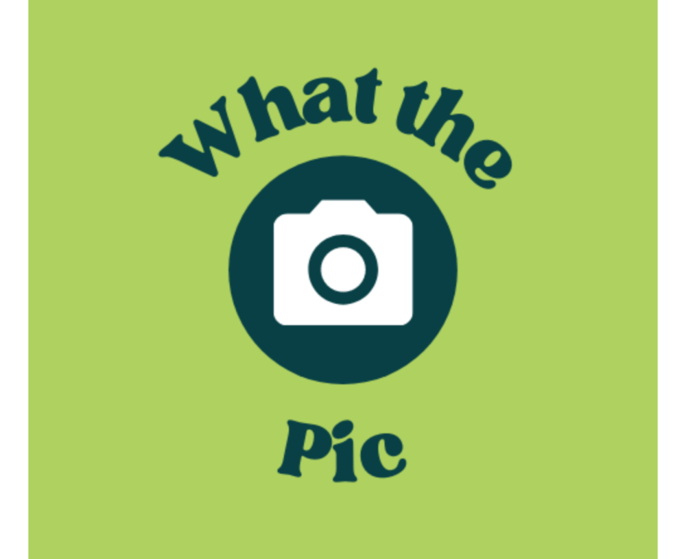 WhatThePic