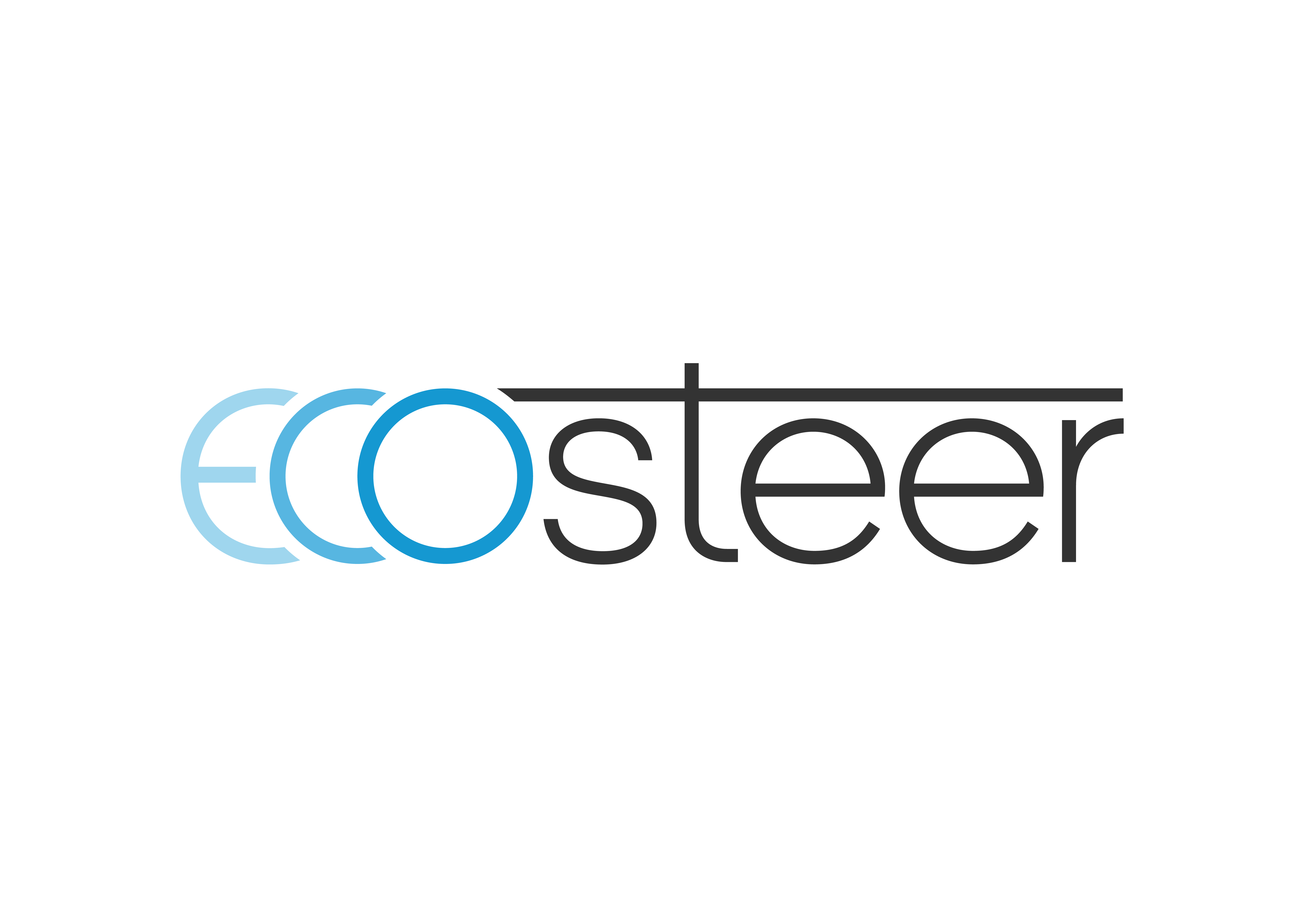 EcoSteer