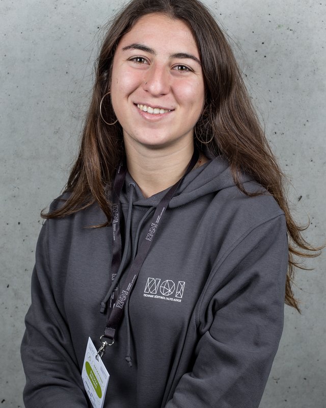 silvia brighi