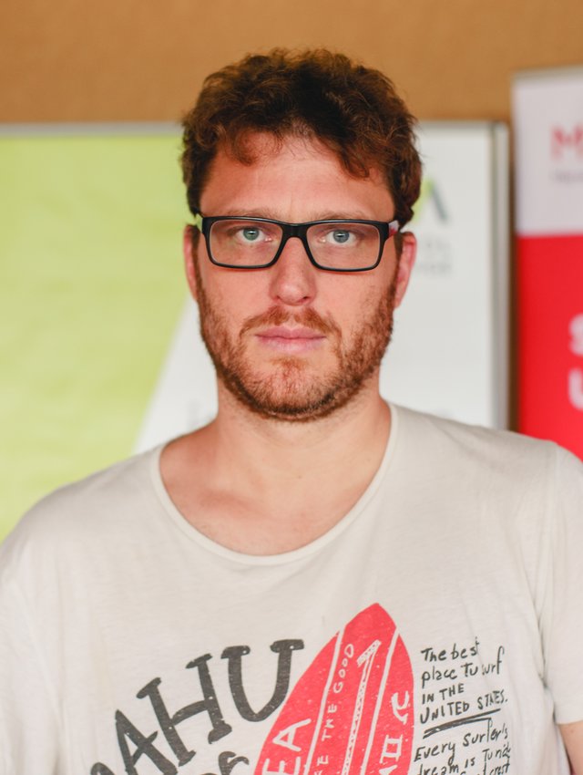 Matthias Hölzl